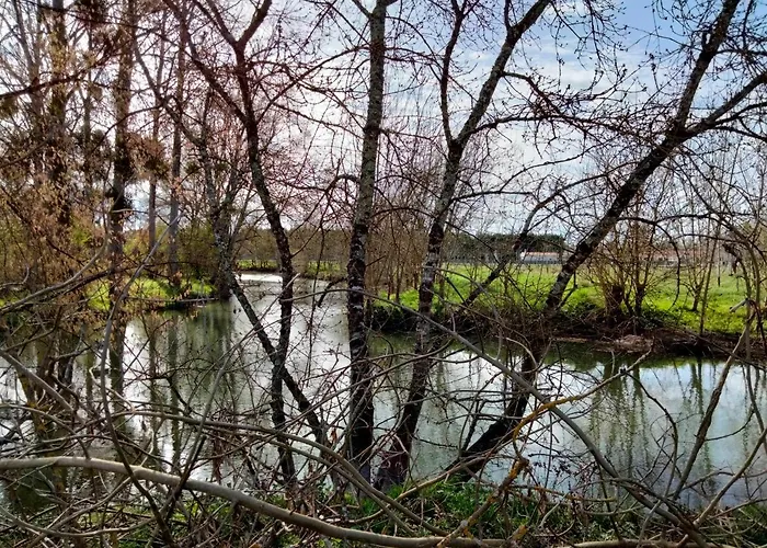 Les Logis De La Seugne Chalet *