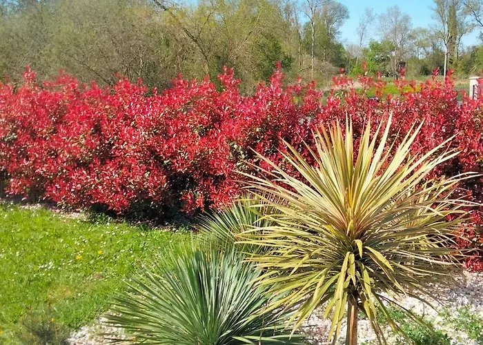 Les Logis De La Seugne Chalet Saint-Germain-de-Lusignan